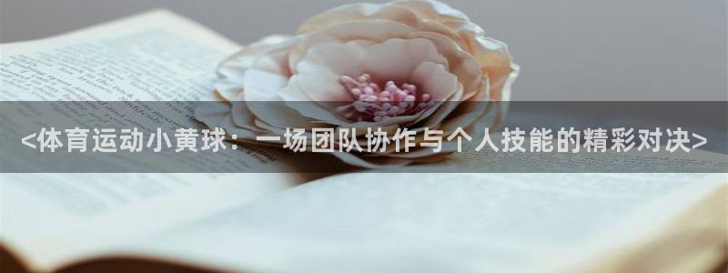 oety欧亿：<体育运动小黄球：一场团队协作与个人技能的精彩对决>