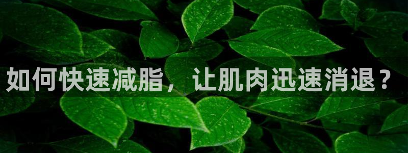 oety欧亿：如何快速减脂，让肌肉迅速消退？