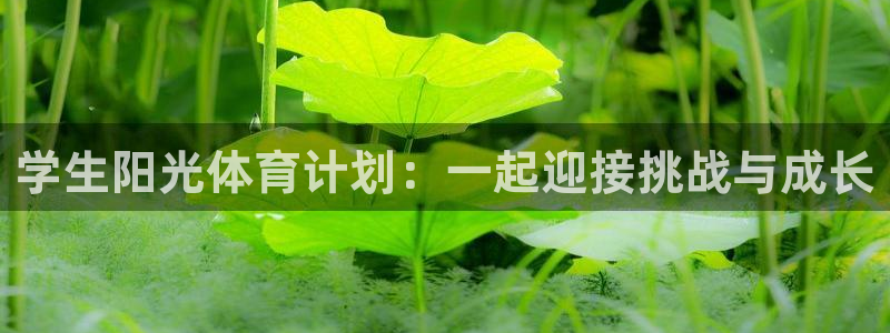 oety欧亿：学生阳光体育计划：一起迎接挑战与成长
