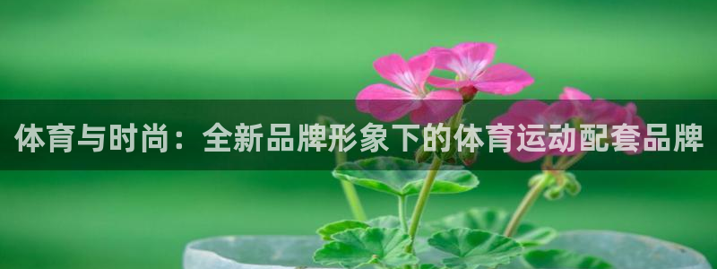 oety欧亿：体育与时尚：全新品牌形象下的体育运动配套品牌