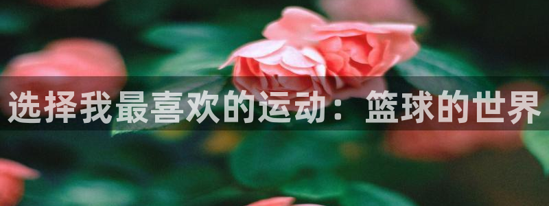 oety欧亿